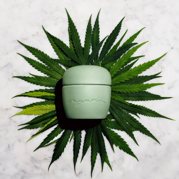 ayuna Other - Ayuna | terra bella  Cannabic Sublimating Cream